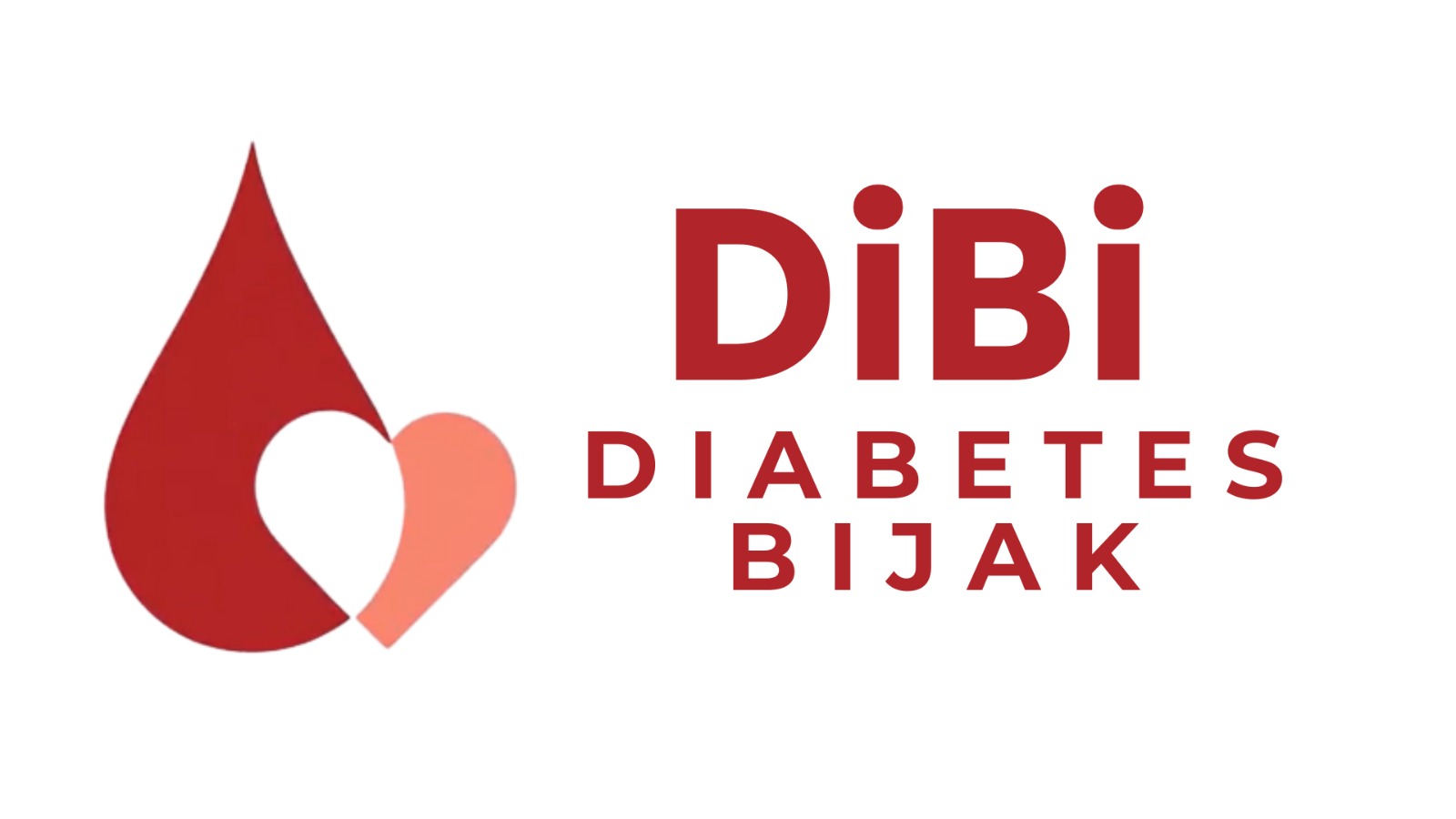 Logo Dibi Monitoring